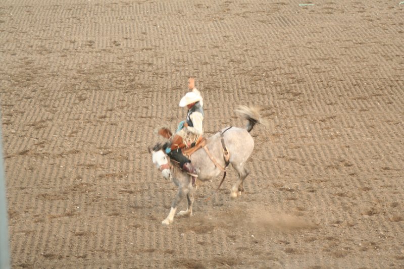 Trip (192).JPG - Bucking broncos at the Cody, Wyoming rodeo